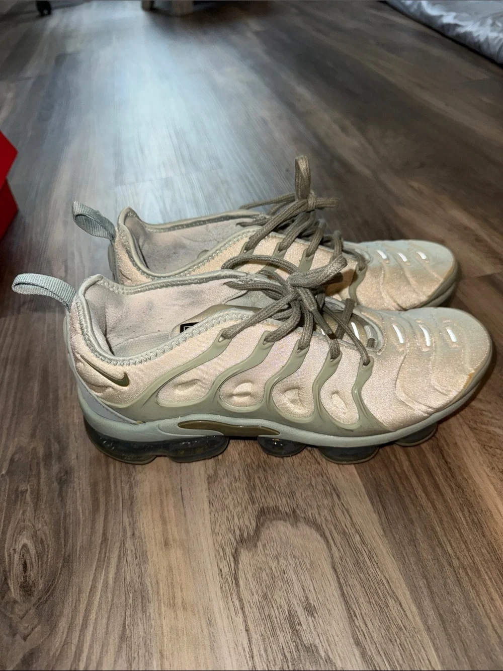 Nike Women's Vapormax Plus in Light Gray and Silver